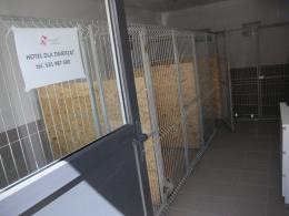 W Opolu działa hotel dla zwierząt