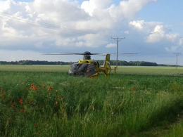 Audi uderzyło w drzewo, cztery osoby ranne