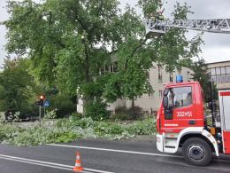 Korki na ul. Piastowskiej. Strażacy wycinali konar drzewa.