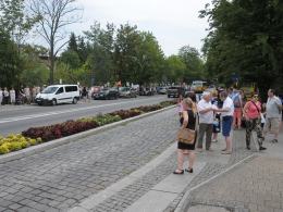 Kilkaset osób protestowało przeciw nowej trasie przez Pasiekę