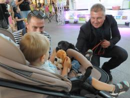 Anna Guzik namawiała do odpowiedzialnej adopcji zwierząt
