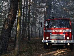 Strażacy walczą z pożarem przy obwodnicy Opola