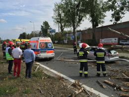 Drzewo spadło na jadący samochód i karetkę pogotowia