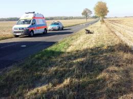 Volkswagen golf rozbił się na drzewie. Nie żyje 19-latek.