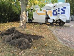 Bus kurierski wpadł w poślizg i uderzył w drzewo