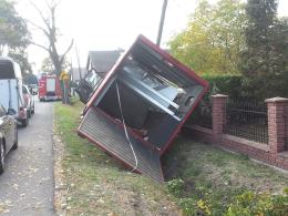 Samochód przewożący konia uderzył w słup