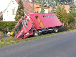 Samochód przewożący konia uderzył w słup
