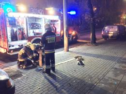 Pożar sadzy w budynku przy ul. Armii Krajowej