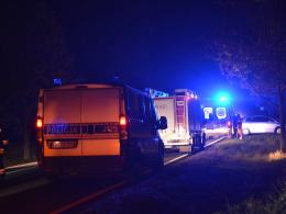 Mercedes uderzył w jelenia, przebiegającego przez drogę