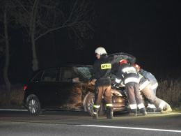 Mercedes uderzył w jelenia, przebiegającego przez drogę