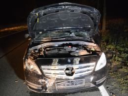 Mercedes uderzył w jelenia, przebiegającego przez drogę