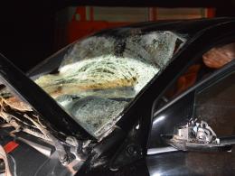 Mercedes uderzył w jelenia, przebiegającego przez drogę
