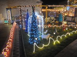 Świąteczna iluminacja ogrodu pana Henryka jest jeszcze okazalsza