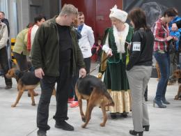 Psy ras polskich można zobaczyć w Centrum Wystawienniczo-Kongresowym