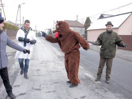 Na Malinie trwa wodzenie niedźwiedzia