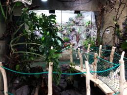Nowy pawilon płazów w opolskim zoo gotowy. Otwarcie w marcu.