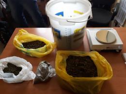 Akcja opolskiego CBŚP. Zatrzymano 5 osób, zabezpieczono 7 kg narkotyków.