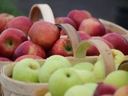Hala Targowa czyli Eko Bazar już w Opolu - wstęp wolny