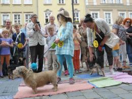 Parada Psów Rasy Mieszanej przeszła pod opolskim ratuszem