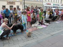 Parada Psów Rasy Mieszanej przeszła pod opolskim ratuszem
