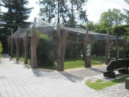 Papugi w opolskim zoo mają większą wolierę