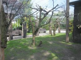 Papugi w opolskim zoo mają większą wolierę