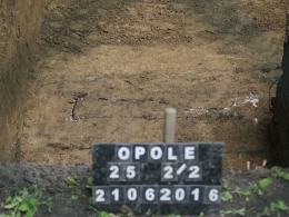 Park dla psów na Wrocławskiej zbudowany na grobach?