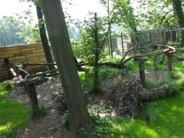 Koty z opolskiego zoo mają nowy wybieg
