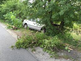 Zasłabł za kierownicą i wjechał w drzewo