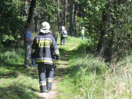 27-letni mężczyzna zginął podczas wycinki drzew w Antoniowie