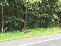 Rowerzysta zginął w wypadku na trasie Opole - Strzelce Opolskie