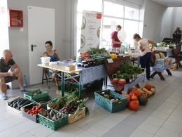 Eko Bazar powrócił do Hali Gwardii po wakacyjnej przerwie