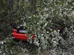BMW zjechało z drogi i zatrzymało się w lesie