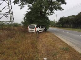Peugeot uderzył w drzewo