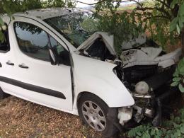 Peugeot uderzył w drzewo