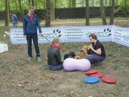 Fundacja Fioletowy Pies żegna lato w Labie