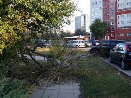 Wichura daje się we znaki na Opolszczyźnie