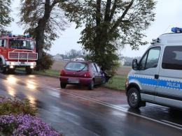 Ford uderzył w drzewo