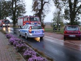 Ford uderzył w drzewo