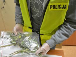20-latek zatrzymany z amunicją i narkotykami