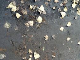 O krok od tragedii w Nysie. Cztery niewybuchy na drodze.