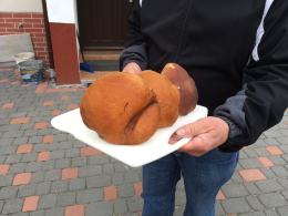 Opolskie lasy są pełne grzybów
