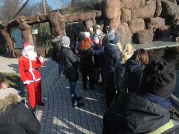 Dzieci wraz ze Świętym Mikołajem zwiedzały opolskie zoo
