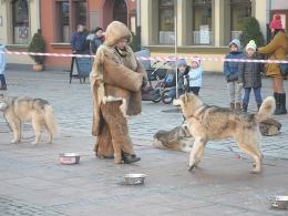 Opolski rynek zmienił się w biegun północny