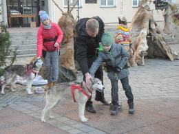 Opolski rynek zmienił się w biegun północny