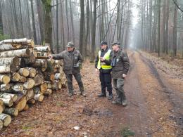Leśnicy i policjanci połączyli siły przeciw złodziejom choinek