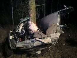 Volkswagen uderzył w drzewo. 18-latek w szpitalu.