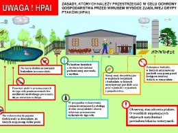 Infografika pokazuje, jak zapobiegać zarażeniu drobiu ptasią grypą.