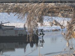 Stary most nad Kanałem Ulgi jest już prawie rozebrany