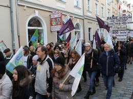 Przeciwnicy Dużego Opola wrócili do manifestacji